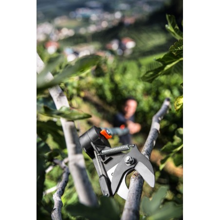 Forbice ad asta lunga telescopica Stocker