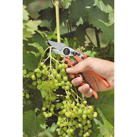 Forbice LÖWE 12  Bypass