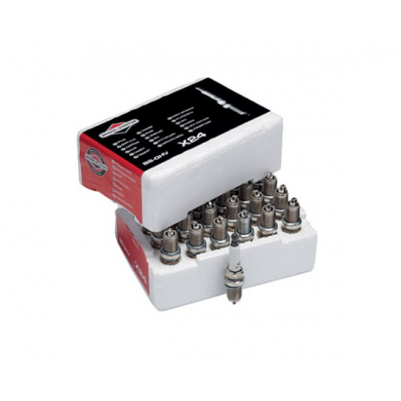 Candela Briggs & Stratton passo lungo