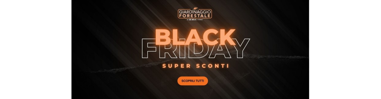 Black Friday